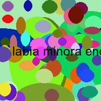 labia minora encyclopedia