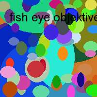 fish eye objektive